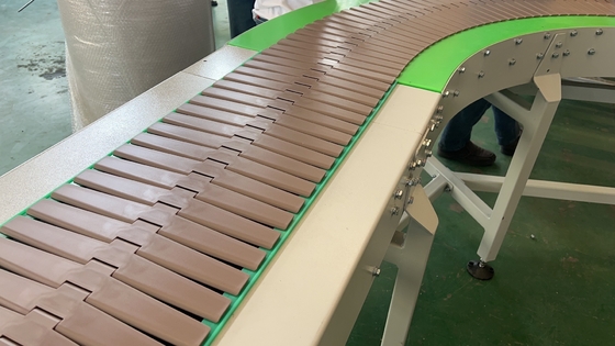 Stainless Steel Slat Chain Conveyor for Bottles