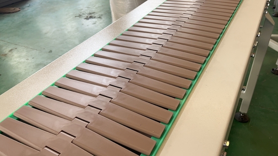 Stainless Steel Slat Chain Conveyor for Bottles