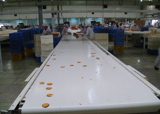 Customized Stainless Steel Belt Conveyor for Various Materials Conveying