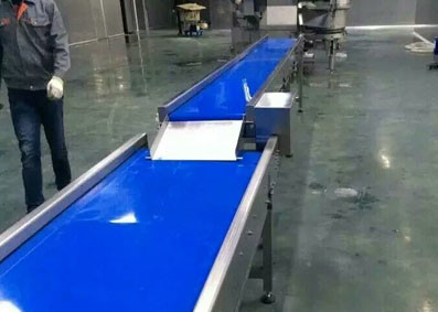 Hot Sale Customized Straight Belt Conveyor with Adjust Speed