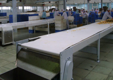 Stainless Steel Belt Conveyor with Customizable Speed and Load Capacity