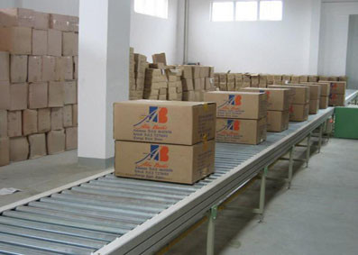 Customized Powered or Non-powered Roller Conveyor for Logistics Industry