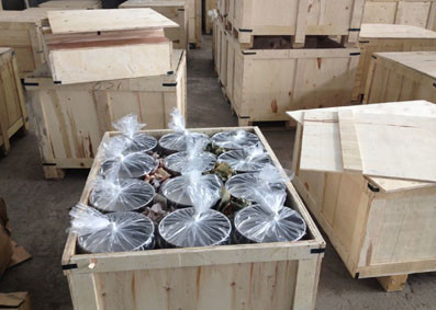Zzgenerate 300mm Diameter Standard Laboratory Vibrating Screen