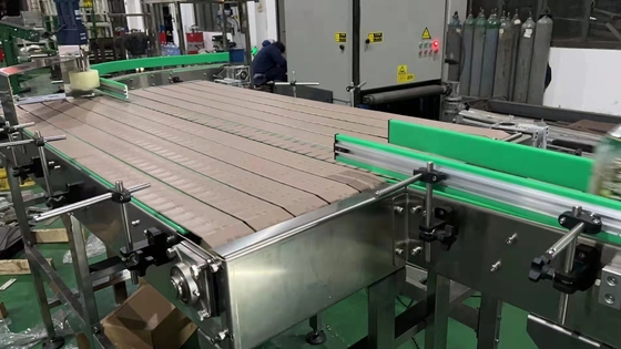 Zzgenerate Slat Chain Conveyor System Accumulating Table for Cans/Bottles