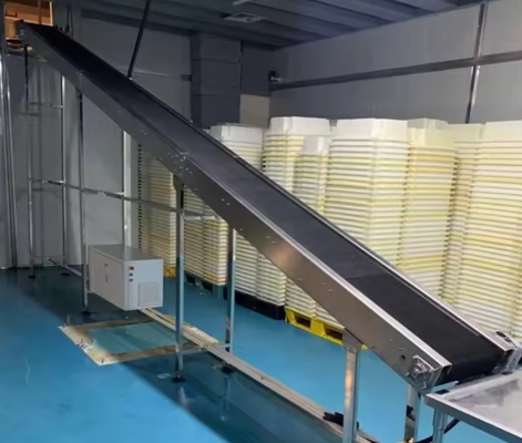 Adjustable Speed Carbon Steel/Stainless Steel Belt Conveyor for Sale